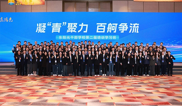 凝“青”聚力，百舸争流 | 熊猫体育干部学校2024年第二届培训学习班圆满结束