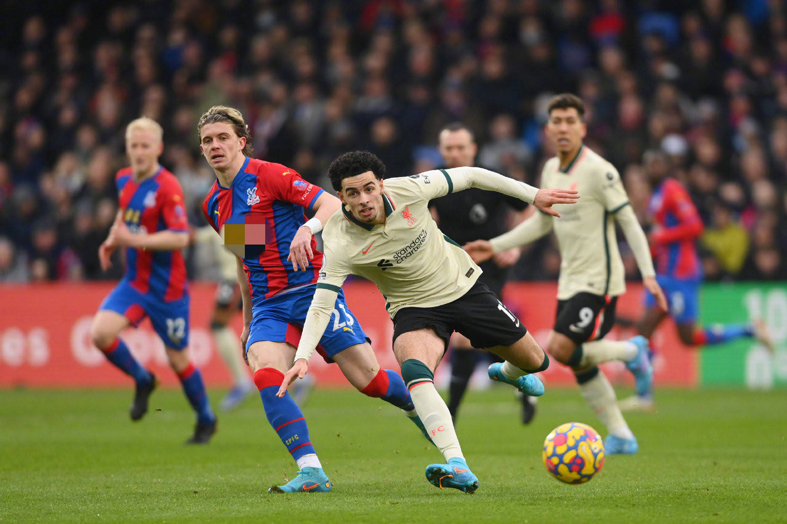 晖哥在这场 晖哥在这场